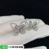 Graff Butterfly Silhouette Mini Earrings