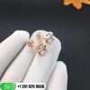 c-de-cartier-earrings-n8502300