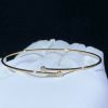 Elsa Peretti™ Diamond Hoop Single-row Bangle