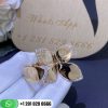 Pasquale giardini segreti ring custom jewelry coral (3)