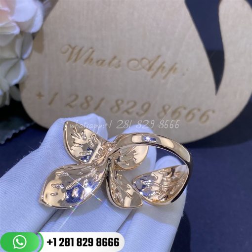 Pasquale giardini segreti ring custom jewelry coral (4)