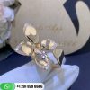 Pasquale giardini segreti ring custom jewelry coral (5)